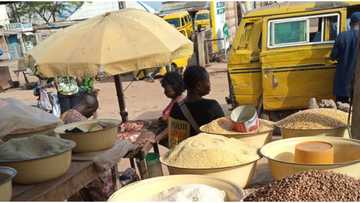 Legit.ng weekly price check: Lagos trader complain bitterly as cost price of rice fluctuate