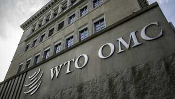 Brazil seeks WTO relief against Trump tariffs