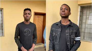 EFCC intensifies efforts against fraud, arrests 6 suspects in Lagos