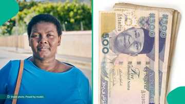 Company reportedly purnishes widow who was absent from work to care for her sick child, pays her N3k
