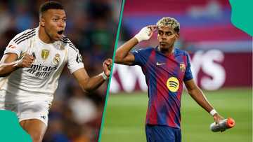 Real Madrid vs Barcelona: Mysterious cat who predicted CWC chooses winner of El Clasico