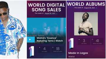 Wizkid excited as he bags 3 number one spots on Billboard chart in a week, fans celebrate with Essence crooner