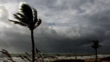 Opinion: A look at wind-driven preventive alternatives to tackle Coronavirus