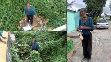 Rich man who worked at a big bank and had a car now homeless, spotted begging on the street