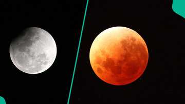Scientists uncover how the moon will turn red this March and 3 other things to happen in the sky