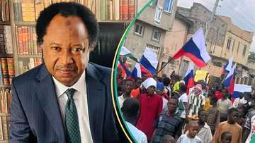 “Attempt to overthrow government”: Shehu Sani speaks on protests In northern Nigeria