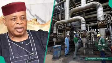 New rival for Dangote: meet the people behind 500,000 barrels refinery project in Ondo State