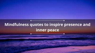 100+ mindfulness quotes to inspire presence and inner peace