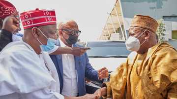 Siyasar Kano: Ganduje ya yi wa Shekarau sabon shagube, ya yabawa aikin Kwankwaso