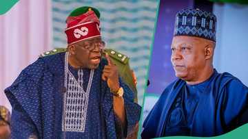 An zo wajen: Babban jigo a APC ya fadi abin da zai faru idan Tinubu ya sauya Shettima