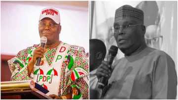 Zaben 2023: Sabon Matsala Ga Tinubu A Yayin Da PDP Ta Fada Wa Yan Najeriya Abinda Ta Gano Kan APC