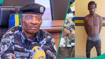 Lagos ritual bust: Security expert raises alarm over disturbing trend