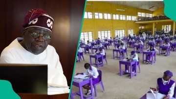 Flashback: Year Tinubu couldn't pay for WAEC over increment as gov of Lagos