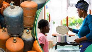 Cost of cooking gas increases again, hits new record as dollar sells for N1,500