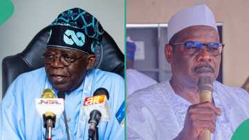 Ndume under fire for sharing video of Nigerians waiting for palliatives at Tinubu's residence