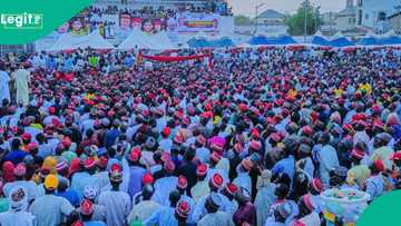 Magoya bayan Kwankwaso sun fusata, sun fara nuna wa Gwamna Abba yatsa a Kano