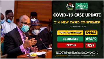 BREAKING: NCDC announces 216 new cases of Covid-19, total now 54,463 (see states affected)