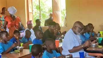 Pupils are fed with 594 cattle, 138,000 chickens, 6.8m eggs weekly under school feeding programme - Osinbajo