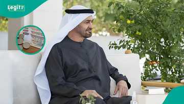 UAE sets 3 salary requirements for residents sponsoring relatives, friends on visit visas