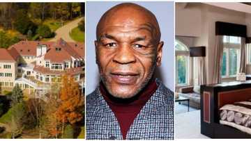 A look inside Mike Tyson's N1.6 billion mansion which he was forced to sell because of bankruptcy