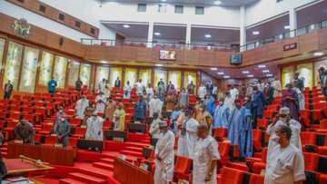 Heated reactions as Senate proposes 15-year jail term for Nigerians paying ransom to kidnappers