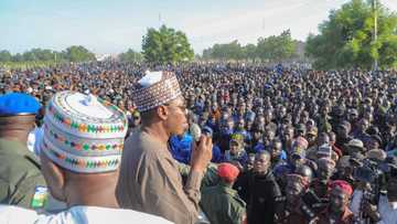 Zulum zai dauki nauyin karatun marayun jaruman CJTF da Boko Haram ta kashe tun 2013