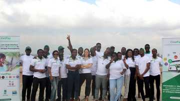 Flutterwave co-invests N1.03bn in Francophone payment platform, CinetPay