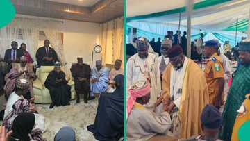 Shettima, gwamnoni, Bala Lau, Jingir, Makari da jiga jigai sun dura gidan Buhari