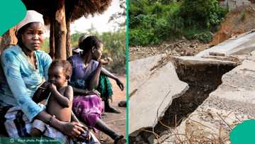 Dangerous landslide in Sudan kills 1000 people with only one survivor