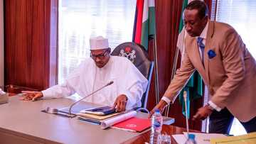 Group berates CDS Irabor for disengaging 36 senior officers in Nigerian Military