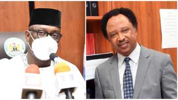 Governor drags Shehu Sani on Twitter over suggestion about Kagara abduction