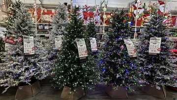 Despite doubts over economy, Americans set for record holiday spending