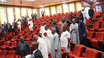 Yanzu-yanzu: Majalisar dattawa ta bukaci Buhari ya sallami Buratai, Sadiqu Baba, dss