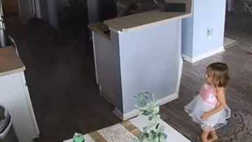 4-year-old girl hailed as hero after saving her family's house from fire