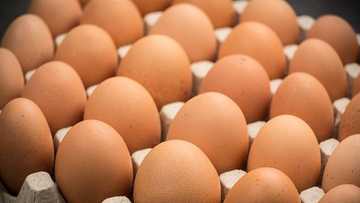 Abin al'ajabi: Bidiyon yadda wani mutum ya yi tafiya a kan kwai ba tare da sun fashe ba