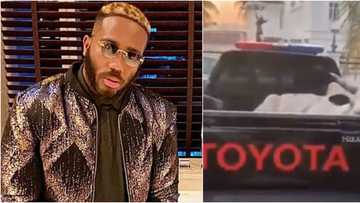 Kiddwaya's die-hard fan gifts him a whole live cow for his 27th birthday