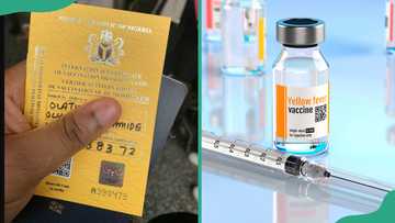 Yellow Card Nigeria: all you need to know about your Yellow Fever vaccination