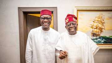Mai Magana da Yawun Bakin Kwankwaso a Zabe, Ya Je Gida, Ya Kebe da Bola Tinubu