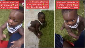 "Kizz Daniel needs to see this": 7-month-old baby that always stops crying whenever Buga is played goes viral