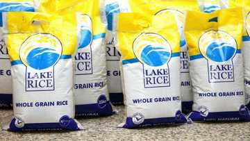 Lagos unveils LAKE rice ahead of Christmas, reneges on promise to crash its price