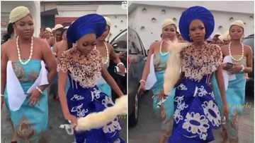 A queen & more: Sweet Nigerian bride steps out with convoy of Aso-Ebi girls, stunning video attracts reactions