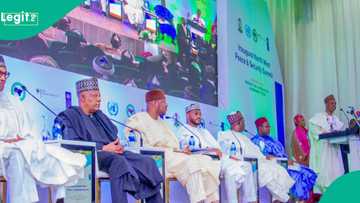 NDPHC: Shugaban Najeriya ya zabi wasu gwamnonin jihohi ya raba masu mukami a gwamnatinsa