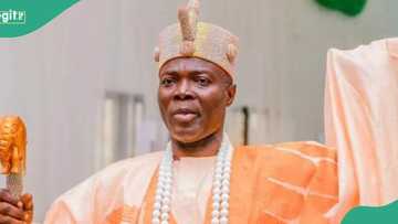 Nigerian monarch raises alarm over drone-wielding insurgents, rallies support for army