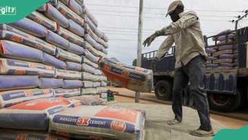 Senate approves $1bn Lafarge sale to Chinese firm, giving Dangote, BUA Cement a powerful new rival