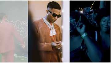 I live for this: Fans go wild as Wizkid shutdown concert in New York City
