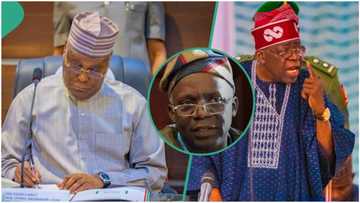 Certificate Saga: Femi Falana predicts fate of Atiku against Tinubu in US court