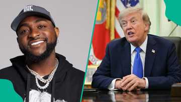 Osun 2026: Davido shares positive update after calling for Trump's support, "Dem don reach out"