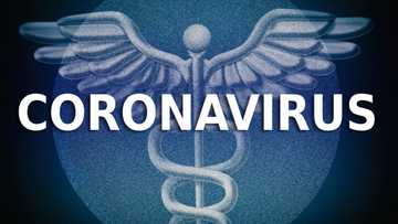 Coronavirus: Kawo yanzu, mutane 24,500 sun kamu, 490 sun mutu, ta bulla a kasashe 28, kalli jerin