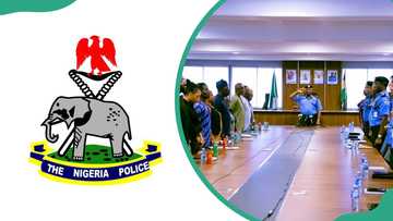 Nigerian police ranks, symbols, duties and salaries (updated)