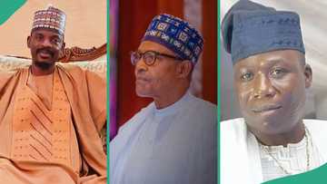 Buhari's ex-aide reacts to UK's response to Sunday Igboho's petition